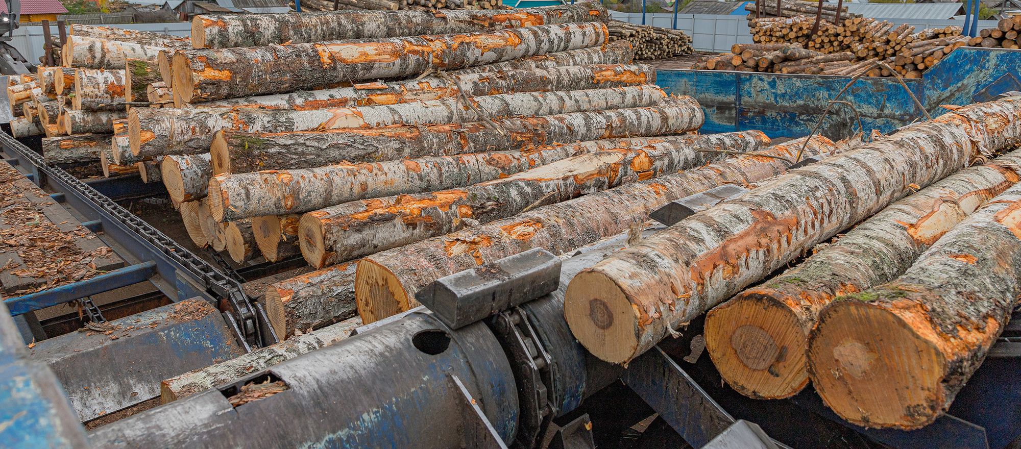 Round timber logs being sorted on a log yard infeed deck with sawmill log piles stacked behind